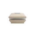 4" Sq. Neptune Solar LED Lighted Vinyl Post Cap for Vinyl Fence and Railing (Almond)