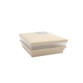 6" Sq. Neptune Solar LED Lighted Vinyl Post Cap for Vinyl Fence and Railing (Beige)