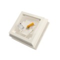 5" x 5" Haven Scallop Lens Low Voltage (Warm White LED) Lighted Vinyl Post Cap - White