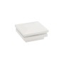 2.5" (2 1/2" x 2 1/2") Low Voltage LED Ornamental Vinyl Post Cap with Dual Outward & Downward Lighting (Warm White) - White
